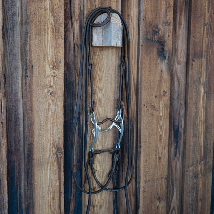 Daryl Davis Solid Port Bridle Rig w/Single Ear Headstall Tack - Rigs Daryl Davis