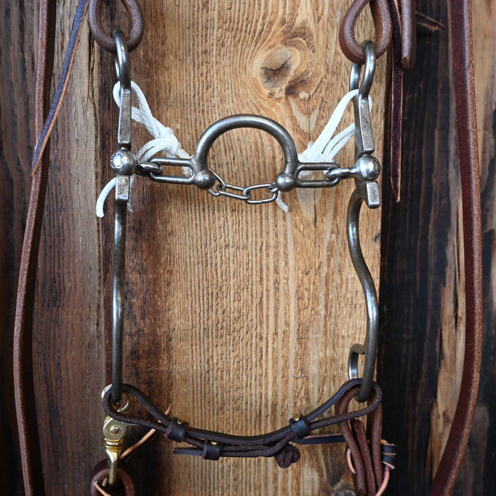 Kerry Kelley Ported Chain Bridle Rig w/Single Ear Headstall