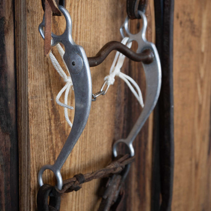 Daryl Davis Solid Port Bridle Rig w/Single Ear Headstall Tack - Rigs Daryl Davis