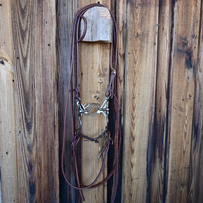 Kerry Kelley Square Port Bridle Rig w/Single Ear Headstall