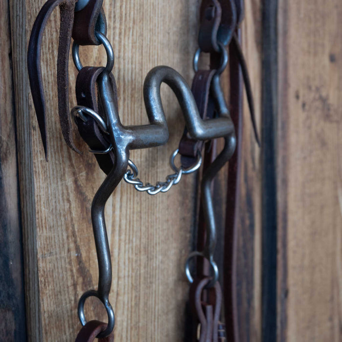 Daryl Davis Solid Port Bridle Rig w/Split Ear Headstall