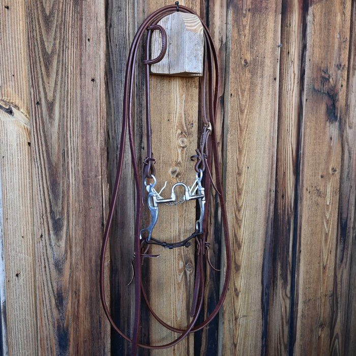 Bill Freeman Correction Bridle Rig w/Single Ear Headstall