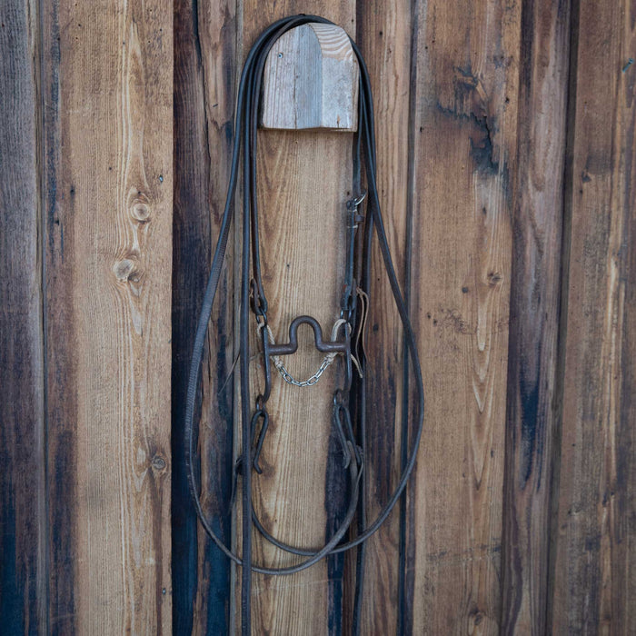 Daryl Davis Solid Port Bridle Rig w/Split Ear Headstall