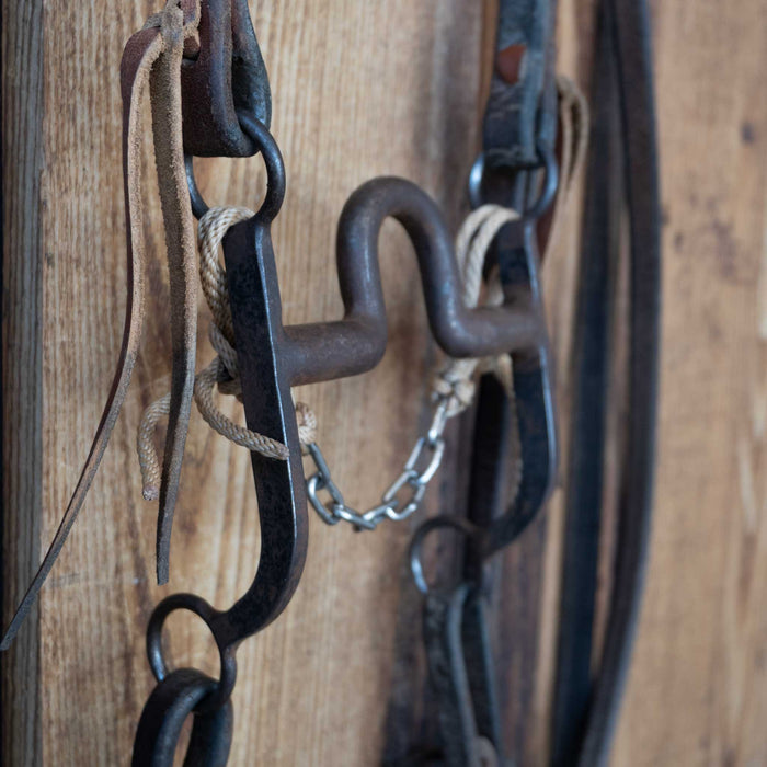 Daryl Davis Solid Port Bridle Rig w/Split Ear Headstall