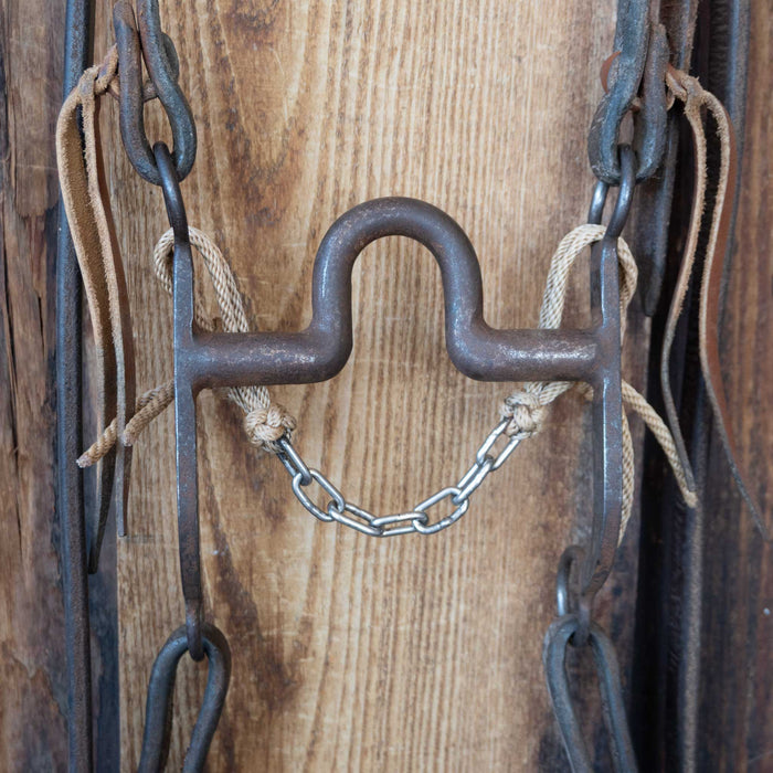 Daryl Davis Solid Port Bridle Rig w/Split Ear Headstall