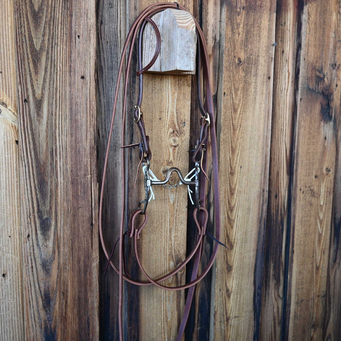 Cowpuncher Solid Port Bridle Rig w/Single Ear Headstall