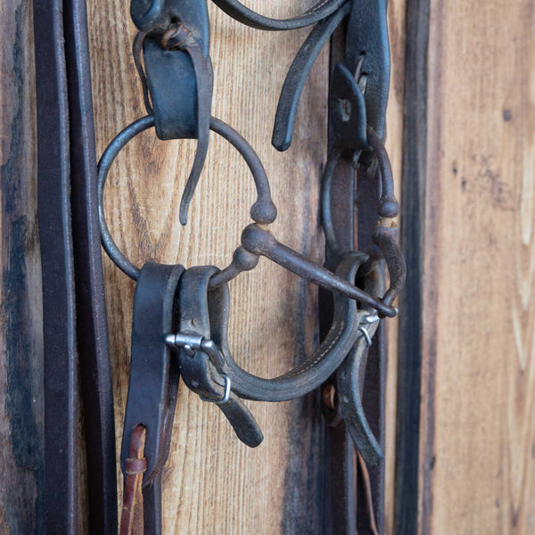 Headstalls & Rigs