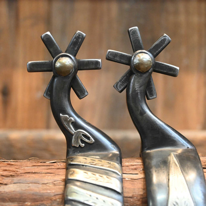 Jason Jarvis Silver Mounted 6pt. Spurs
