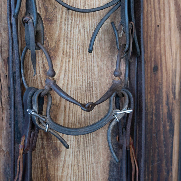 Daryl Davis D-Ring Snaffle Bridle Rig w/Browband Headstall