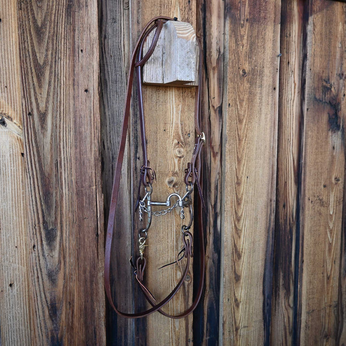 Teskey's Correction Bridle Rig w/Single Ear Headstall