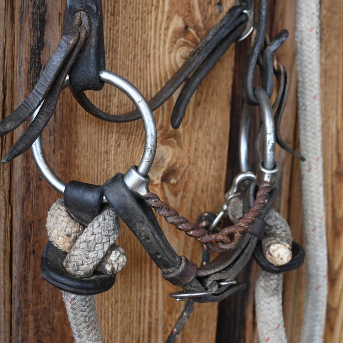 Ray Maheu O-Ring Twisted Wire Snaffle Bridle Rig w/String Martingale Tack - Rigs Ray Maheu