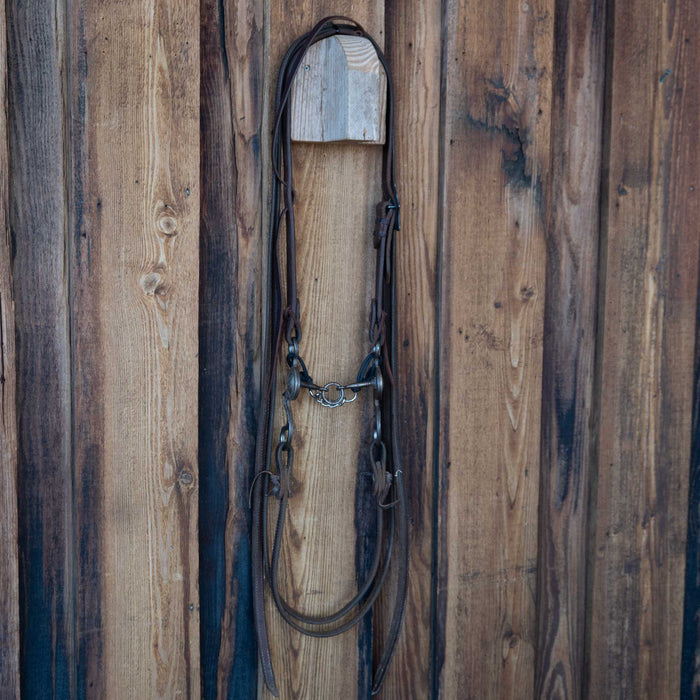 Hawkeye Lifesaver Bridle Rig w/Split Ear Headstall