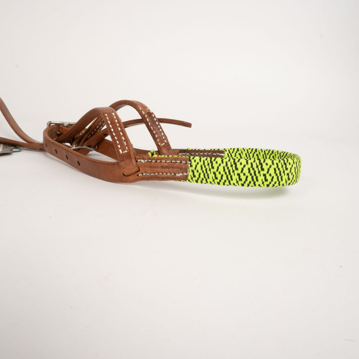 NEW Professional Choice Cavesson With Elastic