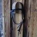 Casey Tew Dark Oil Futurity Headstall Tack - Headstalls Casey Tew