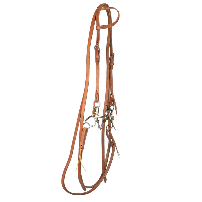 Teskey’s Cathedral Correction Rig w/Single Ear Headstall