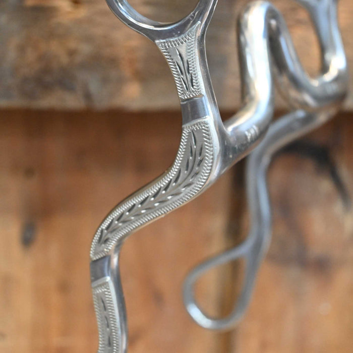 Brandon Bradley Silver Mounted Solid Port #126 Bit