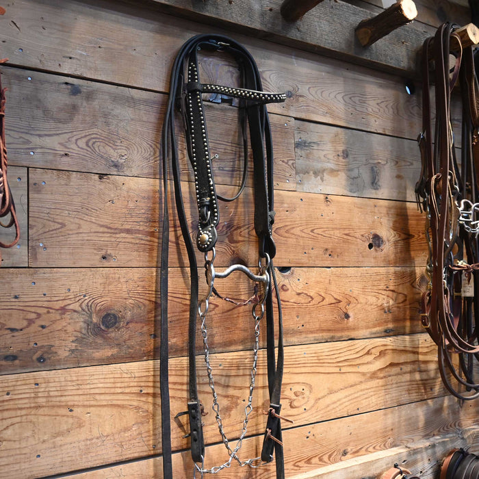 Vintage Studded Old Time Bridle Rig with a Silver Mounted Bit Collectibles MISC