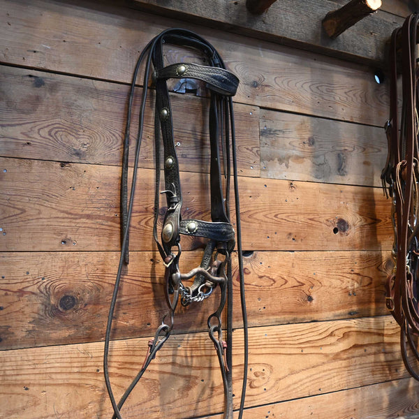 Headstalls & Rigs