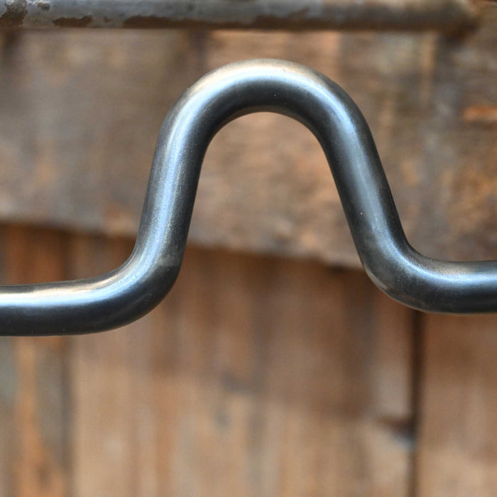 Turtle Jones Silver Mounted Solid Port Bit