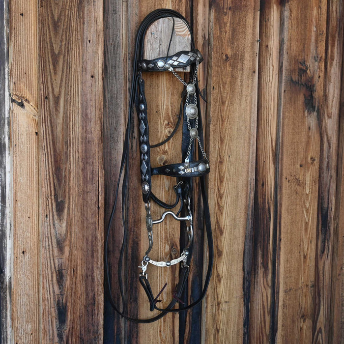 Beautiful Vintage Nickel Silver Parade Bridle set with Dormer & silver mounted bit