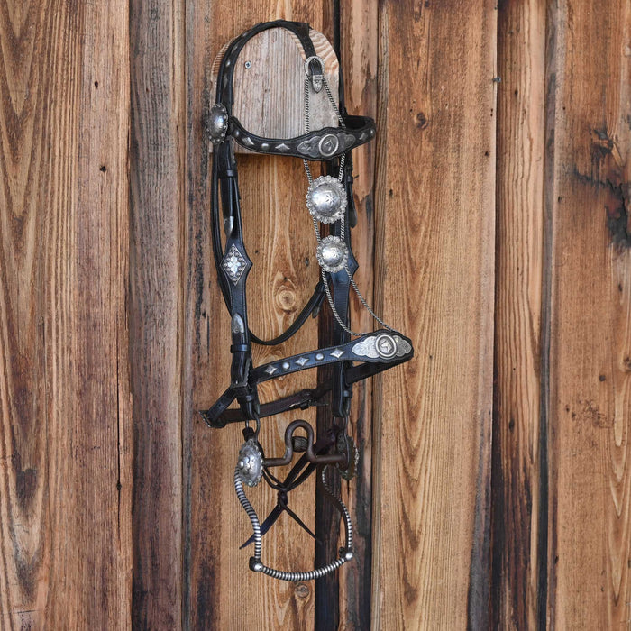 Vintage Inlayed Silver Bit w/Conchos & Sterling Mounted Headstall with Dormer  Rig Set