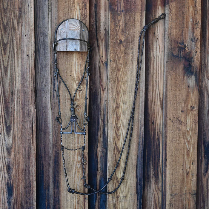 Vintage fully Braided Bridle & Reins w/ Spade Rig