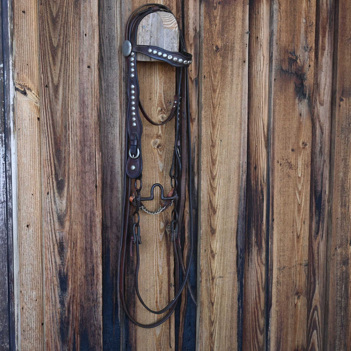 Vintage early 1900's Nickel Plate Studs Bridle Rig & Bit Collectibles MISC