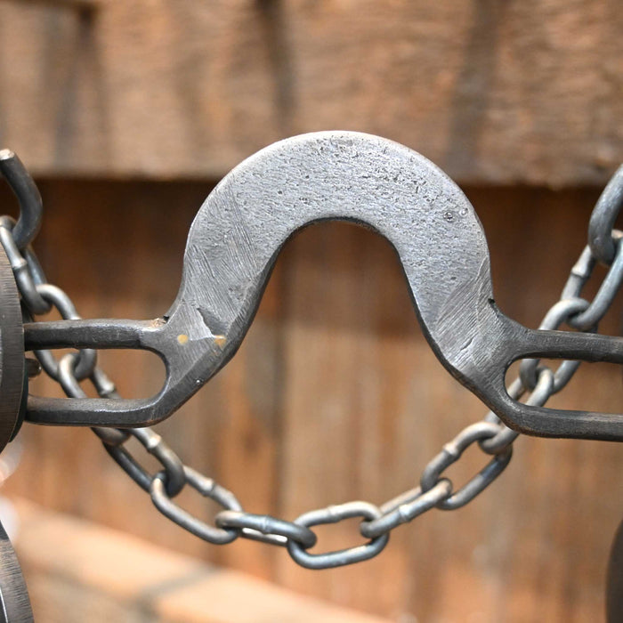 Paul Petska Washer Solid Port Bit w/ Copper Cactus Conchos