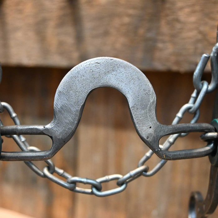 Paul Petska Washer Solid Port Bit w/ Silver Dotted Concho