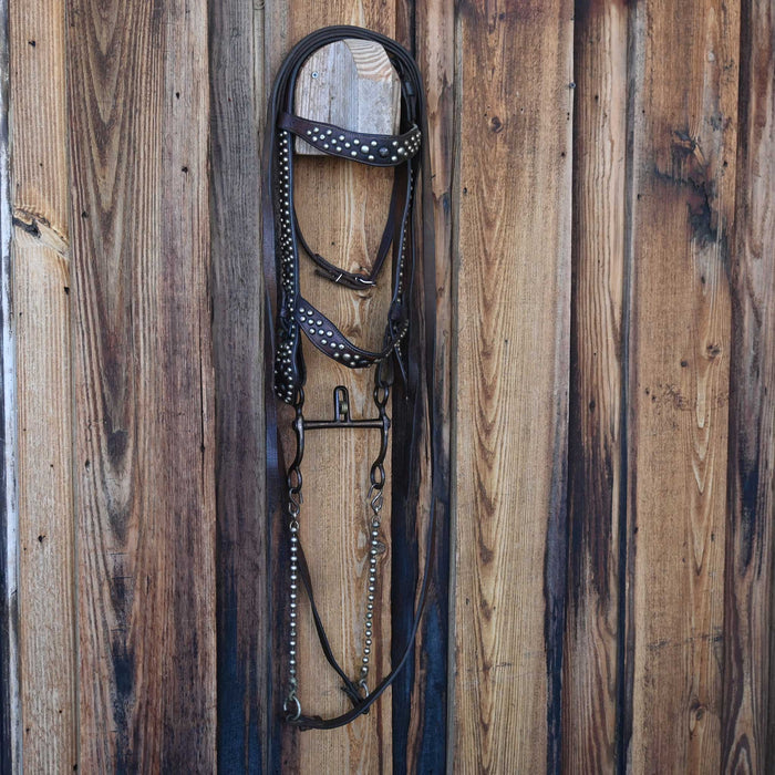 Vintage Bridle Rig w/ Cavesson Set
