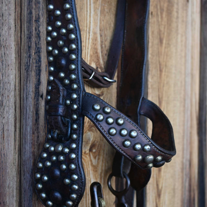 Vintage Bridle Rig w/ Cavesson Set