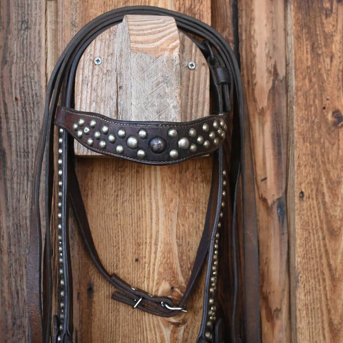 Vintage Bridle Rig w/ Cavesson Set
