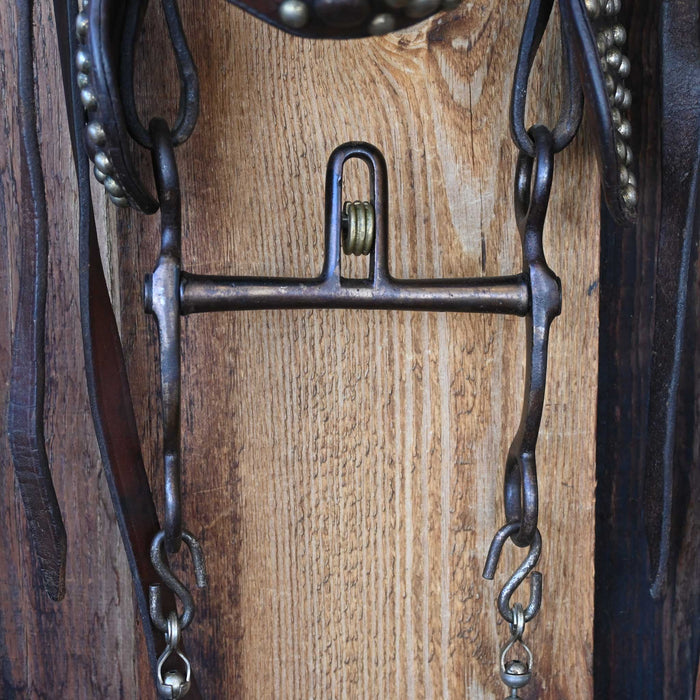 Vintage Bridle Rig w/ Cavesson Set