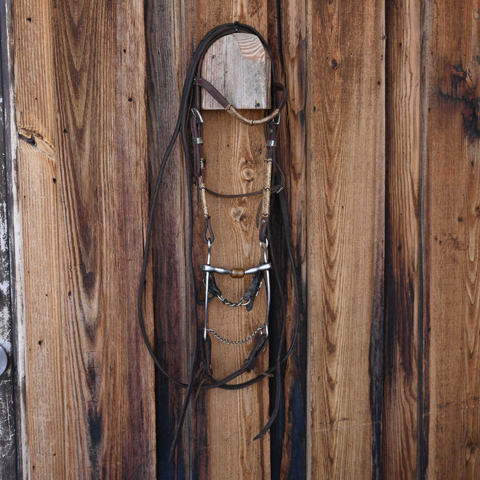 Billy Allen Bridle Rig Sale Barn misc