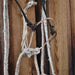 Loping Hackamore Rig Sale Barn misc