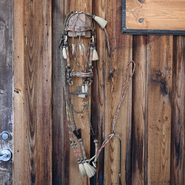 Headstalls & Rigs