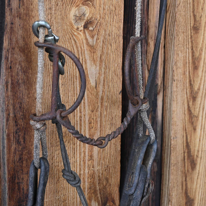 Draw Rig Twisted Wire Snaffle Bridle Rig Sale Barn misc