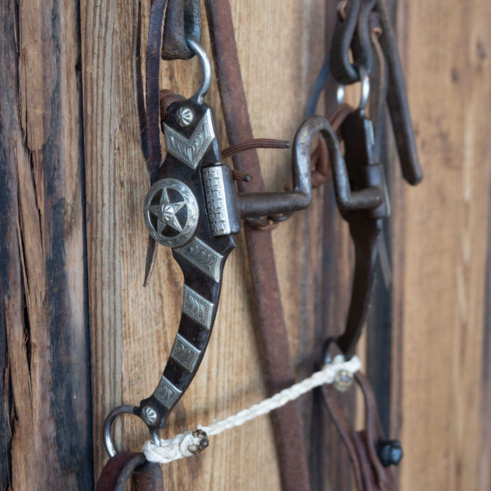 Solid Port Bridle Rig w/Single Ear Headstall