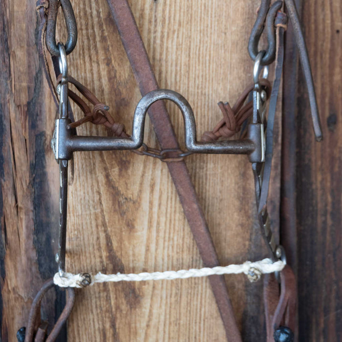 Solid Port Bridle Rig w/Single Ear Headstall