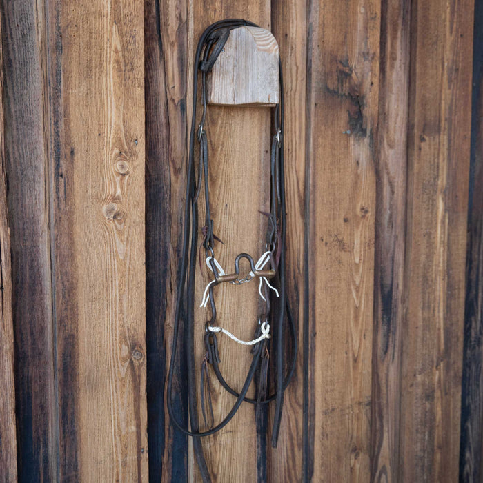 Solid Port Bridle Rig w/Single Ear Headstall