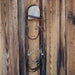 Hackamore Bridle Rig Sale Barn misc