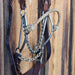 Hackamore Bridle Rig Sale Barn misc
