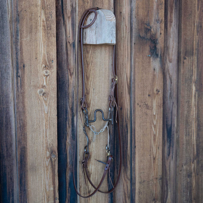 Anderson Solid Port Bridle Rig w/Single Ear Headstall