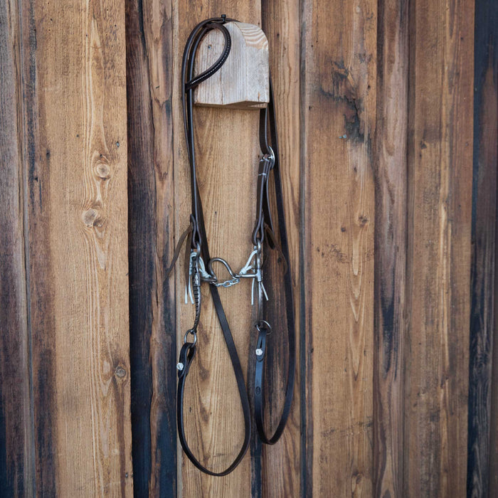 Larry Turner Loose Port Bridle Rig w/Single Ear Headstall