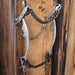 Hackamore Bridle Rig Sale Barn MISC
