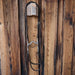 Solid Port Bridle Rig Sale Barn MISC