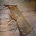 Ed Walker XX Leathersmith Shotgun Chaps Tack - Chaps & Chinks Ed Walker XX