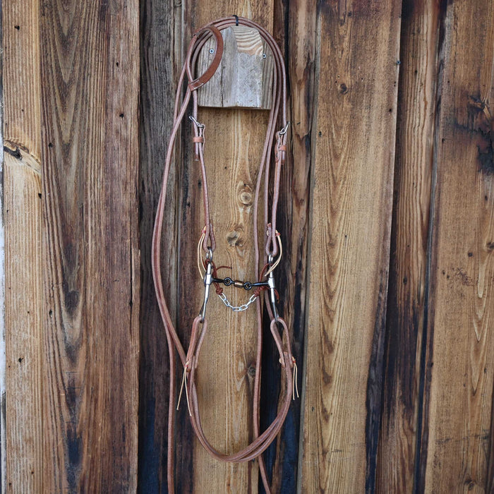 Dogbone Bridle Rig w/All New Leather