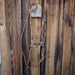 Dogbone Bridle Rig w/Single Ear Headstall Sale Barn misc