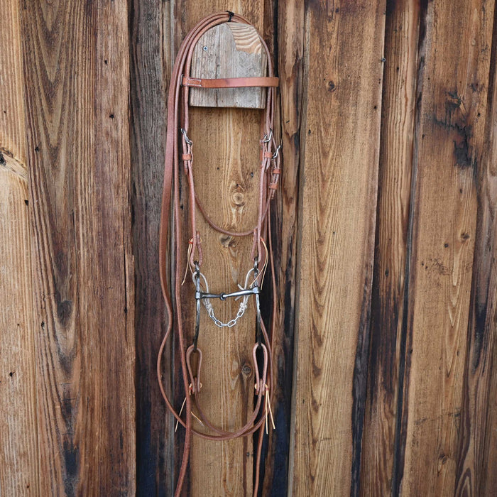 Teskey's Snaffle Bridle Rig w/All New Leather Tack - Rigs Teskey's
